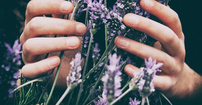 Acupuncture/ Registered Traditional Chinese Medicine Practitioner