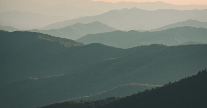 Acupuncture/ Registered Traditional Chinese Medicine Practitioner