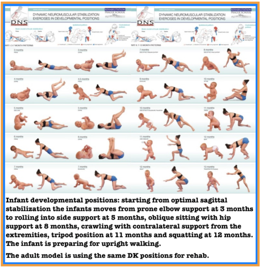 Core Stability Explained: Inside-Out. Part – 4 - DrMorrisGasparin